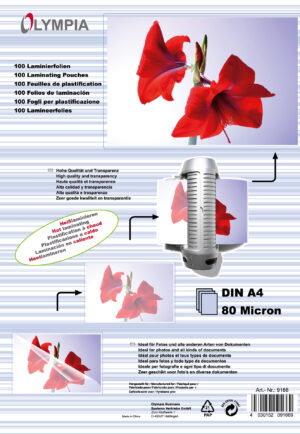 DIN A4 - 100 x 80 MIC