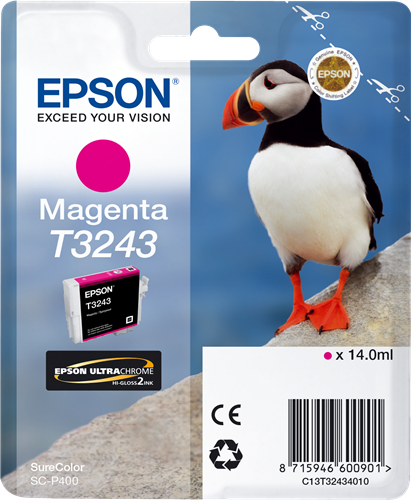 C13T32434010 T3243