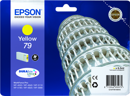 C13T79144010 79